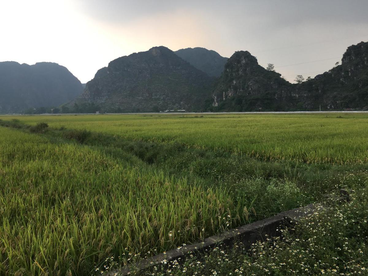 Limestone View Homestay Ninh Bình Extérieur photo