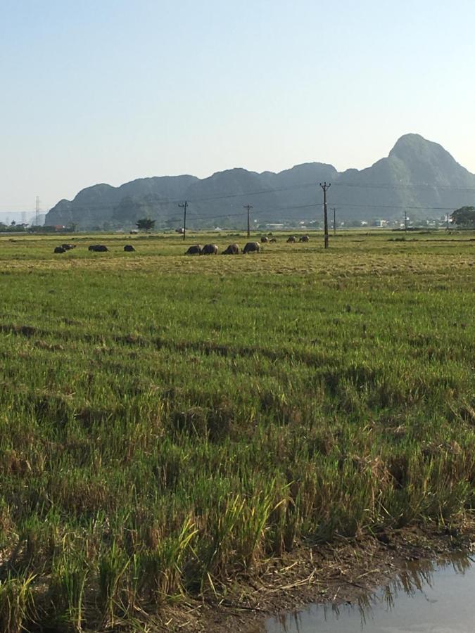 Limestone View Homestay Ninh Bình Extérieur photo